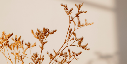 Grand Cru · 精餾之藝