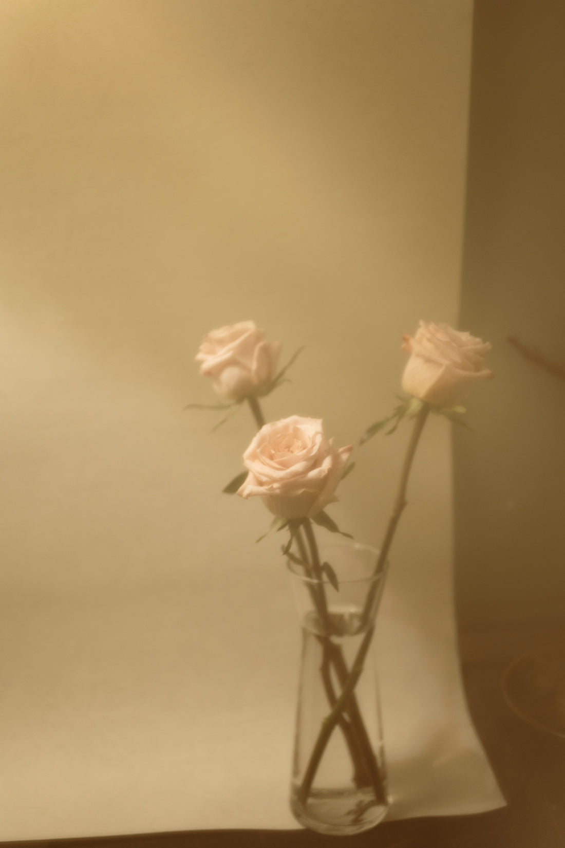 精油是什麼? 怎麼使用?