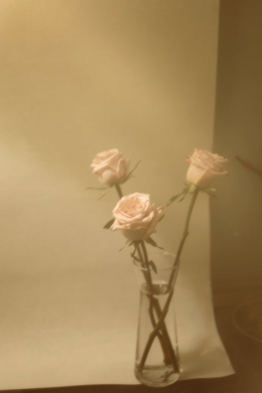 精油是什麼? 怎麼使用?