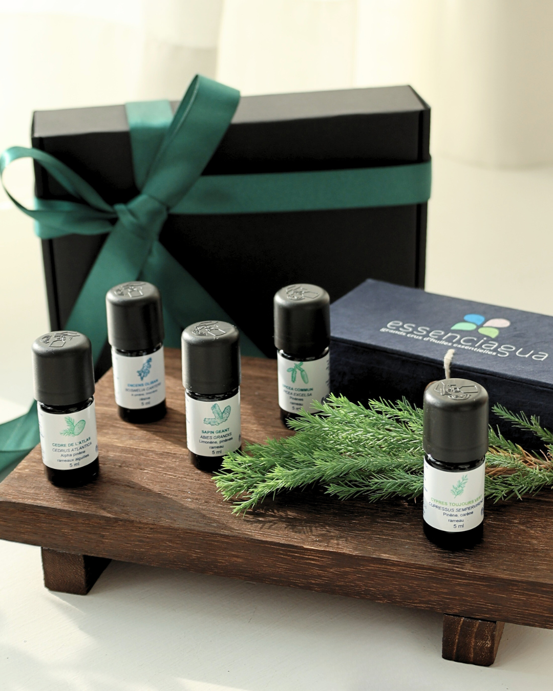 【 洛澤爾．南法森林．精油5入含木盒 】松杉木質 ‧ 森林呼吸