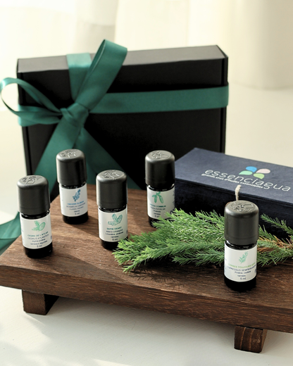 【 洛澤爾．南法森林．精油5入含木盒 】松杉木質 ‧ 森林呼吸