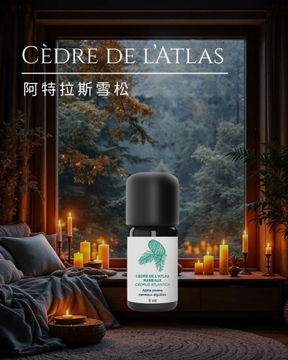 阿特拉斯雪松 (嫩枝) 精油