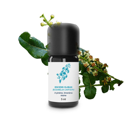 南法精油 Essenciagua 法國洛澤爾芳療乳香精油