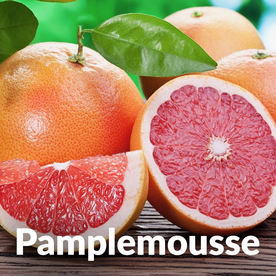 Pamplemousse 葡萄柚，Essenciagua 堅持選用的野生有機植物。